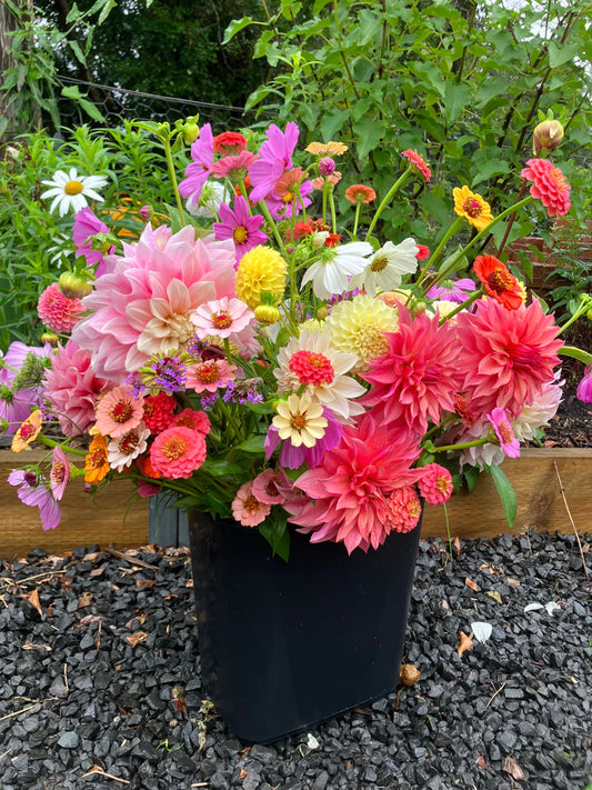 DIY Seasonal Flowers by the Bucket