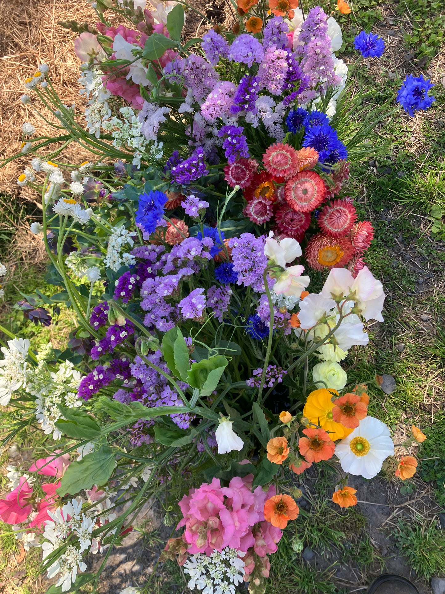 DIY Flower Buckets – Perfect for Weddings & Events