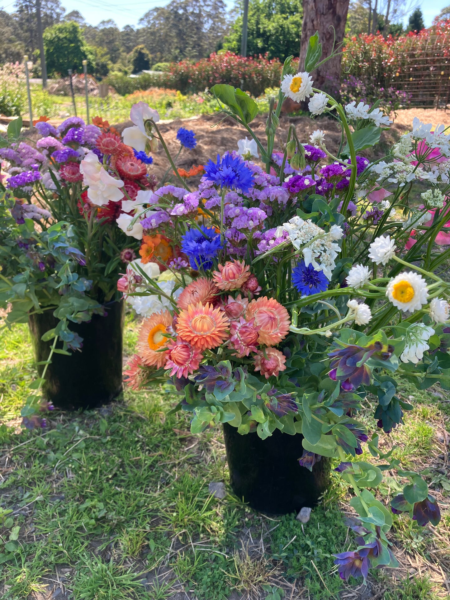 DIY Flower Buckets – Perfect for Weddings & Events