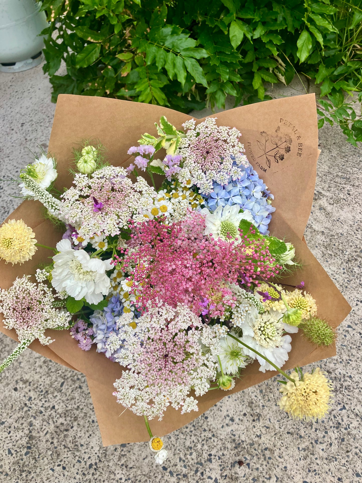 Farm Bunches – No Fluff, Just Proper Flowers
