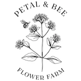 Vera’s Elma – Mauve-Pink Decorative Dahlia